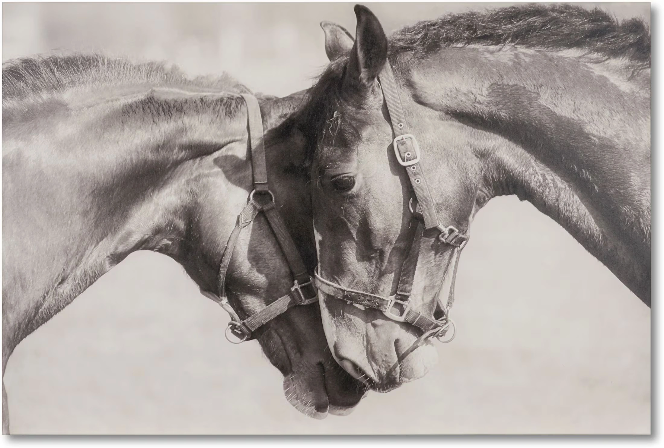 I Can See Clearly 36 x 54 Wall Ar