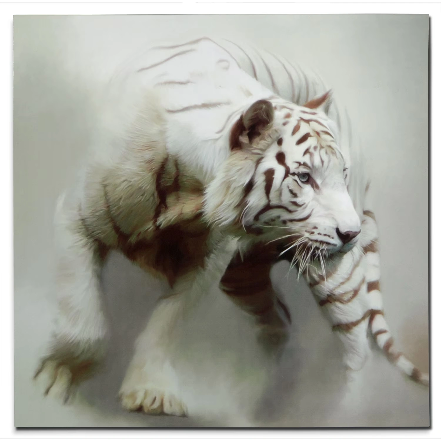 White Tiger 48 x 48 Wall Ar